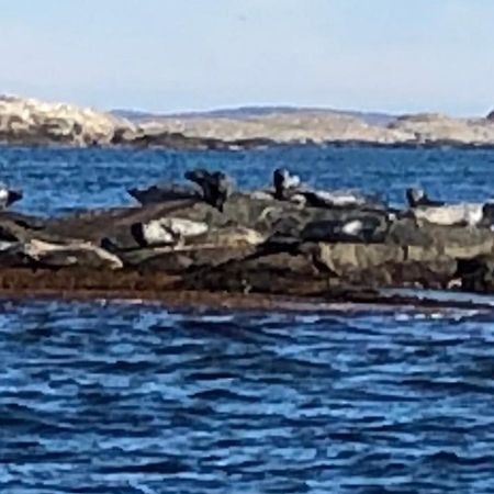 بيت شباب Marinan Richters Fjällbacka المظهر الخارجي الصورة